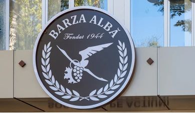 Votat in prima lectura: Intreprinderea ”Barza Alba” va primi statutul de obiect al patrimoniului cultural national al Republicii Moldova Votat in prima lectura: Intreprinderea ”Barza Alba” va primi statutul de obiect al patrimoniului cultural national al Republicii Moldova