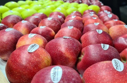 Producatorii agricoli din Republica Moldova vor putea exporta pe piata UE cantitati mai mari de produse, fara achitarea taxelor vamale
Producatorii agricoli din Republica Moldova vor putea exporta pe piata UE cantitati mai mari de produse, fara achitarea taxelor vamale