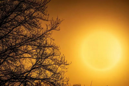 Omenirea se afla in pragul ”sinuciderii colective” . Nicio natiune nu este imuna la criza climatica, avertizeaza seful ONU