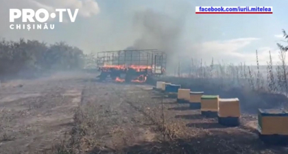 O remorca cu stupuri de albine a luat foc, pe un camp din Leova. Proprietarul sustine ca acestea au fost incendiate intentionat O remorca cu stupuri de albine a luat foc, pe un camp din Leova. Proprietarul sustine ca acestea au fost incendiate intentionat
