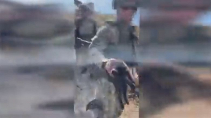 Ucrainenii au curatat Insula Serpilor de mine si echipament militar rusesc. De pe insula a fost salvata si o pisica - VIDEO
