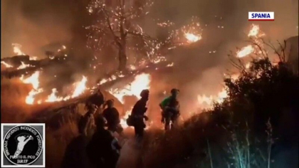 Incendiile de vegetatie continua sa faca ravagii in Europa. „Este a patra oara cand suntem afectati de incendiu” Incendiile de vegetatie continua sa faca ravagii in Europa. „Este a patra oara cand suntem afectati de incendiu”