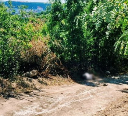 A lovit mortal un barbat apoi a fugit de la locul faptei. Soferul - gasit de politisti. Cum s-a intamplat totul si ce spune faptasul - FOTO