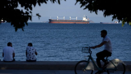 Primele nave cu cereale vor pleca din Ucraina pana la finalul saptamanii, anunta un oficial turc