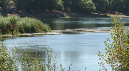 Apa-Canal Chisinau da asigurari ca toti consumatorii sunt alimentati cu apa, chiar daca nivelul apei in raul Nistru a ajuns la 8,5 metri Apa-Canal Chisinau da asigurari ca toti consumatorii sunt alimentati cu apa, chiar daca nivelul apei in raul Nistru a ajuns la 8,5 metri