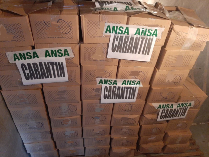 Un lot de pelmeni cu carne de pui - nu va ajunge pe rafturile magazinelor. ANSA: S-a gasit Salmonella - FOTO Un lot de pelmeni cu carne de pui - nu va ajunge pe rafturile magazinelor. ANSA: S-a gasit Salmonella - FOTO
