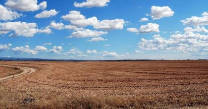 Terenurilor agricole vor putea fi utilizate in scopuri miniere