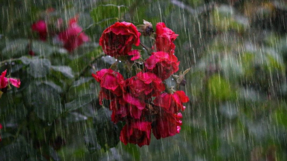 Cer noros si ploi in nordul tarii. Cum va fi vremea astazi, dar si in urmatoarele zile. Prognoza meteo - FOTO