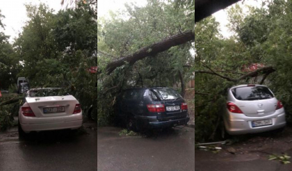 Zeci de masini - avariate, dupa ploaia si vantul puternic de ieri. Imagini de groaza - surprinse pe o strada din capitala - FOTO/VIDEO