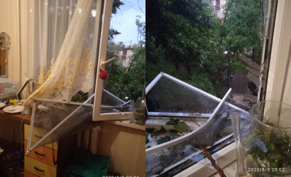 Inca un copac a ajuns in apartamentul unei familii din capitala. Proprietar: „Ce ar trebui sa fac? La cine sa ma adresez?” - GALERIE FOTO