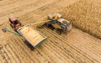 Analiza: Cum raspunde Europa la criza alimentara mondiala Analiza: Cum raspunde Europa la criza alimentara mondiala