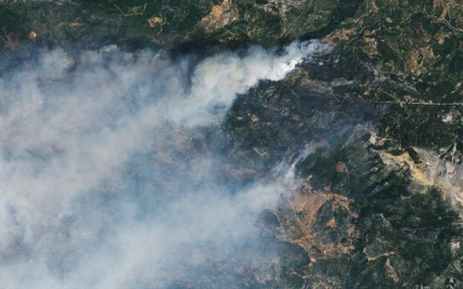 Cel putin 26 de persoane au murit si alte cateva zeci au fost ranite in incendii forestiere, in Algeria / Mai multe persoane au suferit arsuri sau dificultati de respiratie