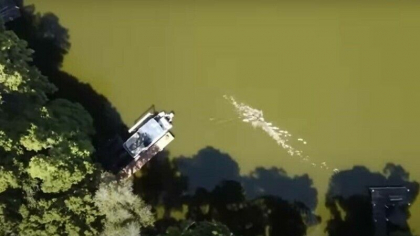 Momentul in care un aligator il ataca pe un barbat. Ce s-a intamplat dupa ce l-a muscat de cap este uimitor - VIDEO Momentul in care un aligator il ataca pe un barbat. Ce s-a intamplat dupa ce l-a muscat de cap este uimitor - VIDEO