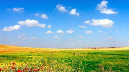 Soare si maxime pana la 33 de grade Celsius. Cum va fi vremea astazi, dar si in urmatoarele zile. Prognoza meteo - FOTO