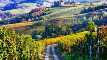 „O destinatie de vis pentru enofili”. Moldova - in topul celor mai renumite tari pentru mancare si vin din Europa de Est. Articol - publicat in revista de bord a companiei aeriene Wizz Air - FOTO „O destinatie de vis pentru enofili”. Moldova - in topul celor mai renumite tari pentru mancare si vin din Europa de Est. Articol - publicat in revista de bord a companiei aeriene Wizz Air - FOTO
