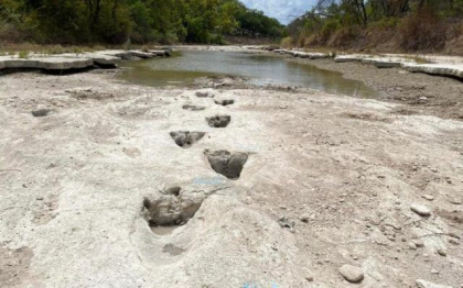 Urme de dinozaur vechi de 113 milioane de ani, descoperite in Texas din cauza conditiilor de seceta severa