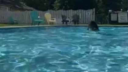 O tanara a transmis LIVE momentul in care s-a inecat intr-o piscina. A fost gasita dupa trei ore
