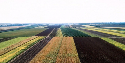 35 de terenuri agricole in valoare de circa 4 milioane de lei - puse sub sechestru de ARBI