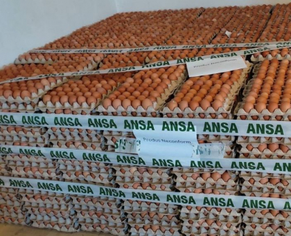 Un lot de oua de gaina - retras din comert. Ce au gasit reprezentantii Agentiei Nationala pentru Siguranta Alimentelor si ce recomanda consumatorilor - FOTO
