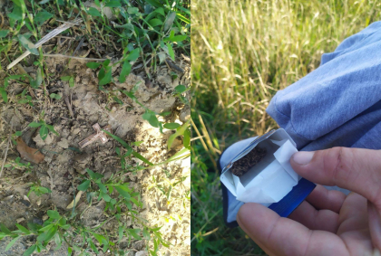 Un tanar - batut si jefuit de catre doi baieti, la Calarasi. Cum s-a intamplat totul - FOTO