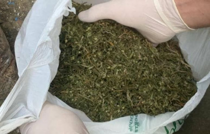 Patru barbati au fost retinuti, dupa ce la domiciliile acestora au fost gasite droguri in valoare de 3 milioane de lei - FOTO