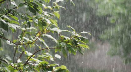Va ploua in toata tara. Cum va fi vremea astazi, dar si in urmatoarele zile. Prognoza meteo - FOTO