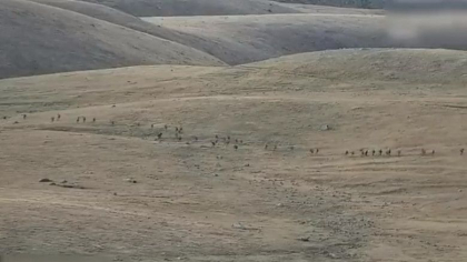 Noi lupte la granita Armenia – Azerbaidjan, dupa ce aproape 100 de militari au murit in urma cu o zi Noi lupte la granita Armenia – Azerbaidjan, dupa ce aproape 100 de militari au murit in urma cu o zi