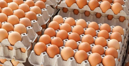 La ce ar trebui sa fie atenti consumatorii atunci cand cumpara oua de gaina. ANSA vine cu explicatii - FOTO