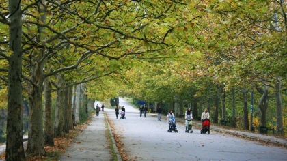 Descoperire macabra in capitala. Cadavrul unui barbat - gasit in parcul Valea Trandafirilor. Ce spune politia 