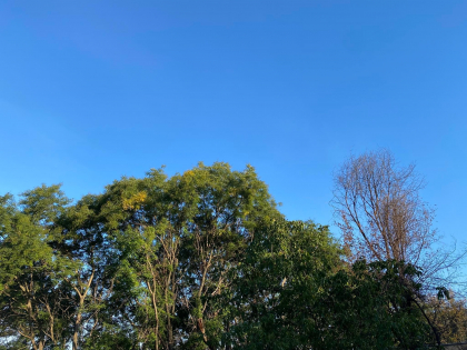 Vreme frumoasa in toata tara. Temperaturile vor ajunge pana la 22 de grade Celsius. Prognoza meteo  - FOTO