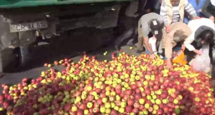 Un barbat - retinut, dupa ce aflat sub influenta drogurilor a descarcat o cantitate mare de mere in fata Ministerului Agriculturii. Ce spune politia Un barbat - retinut, dupa ce aflat sub influenta drogurilor a descarcat o cantitate mare de mere in fata Ministerului Agriculturii. Ce spune politia