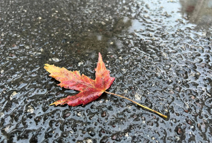 Vremea se raceste. Va ploua in toata tara. Ce temperaturi se vor inregistra astazi, dar si in urmatoarele zile. Prognoza meteo - FOTO