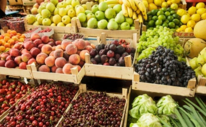 Rusia reia livrarile de fructe si legume de la inca patru producatori agricoli din raionul Orhei. Anuntul facut de Rosselhoznadzor Rusia reia livrarile de fructe si legume de la inca patru producatori agricoli din raionul Orhei. Anuntul facut de Rosselhoznadzor