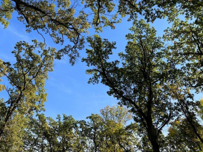 Vreme frumoasa in toata tara. Temperaturile vor ajunge pana la 21 de grade Celsius. Prognoza meteo - FOTO