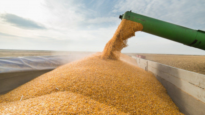 Rusia si-a reluat participarea la acordul asupra exporturilor de cereale ucrainene Rusia si-a reluat participarea la acordul asupra exporturilor de cereale ucrainene