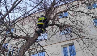 Misiune neobisnuita pentru pompierii din orasul Causeni. Acestia au salvat o pisica ramasa blocata intr-un copac - FOTO