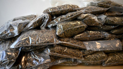 Peste 30 de tone de canabis capturate in Spania. "Este un record mondial" Peste 30 de tone de canabis capturate in Spania. "Este un record mondial"