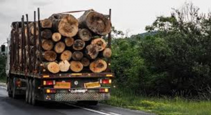 Un camion cu lemne, procurate pentru necesitatile personale, a fost oprit ilegal de militia transnistreana. Biroul pentru Reintegrare: "Au stopat in mod abuziv"