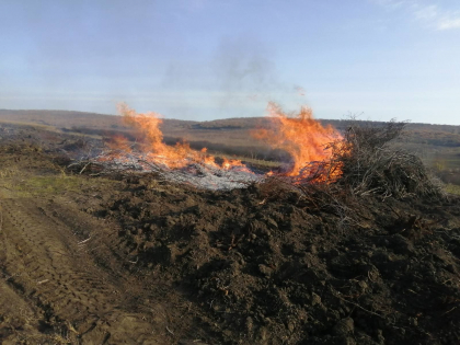 Au dat foc la resturi vegetale si au primit amenda de 10 mii de lei. Doua persoane - sanctionate, la Nisporeni. Inspectoratul pentru Protectia Mediului anunta ca amenzile au fost majorate - FOTO