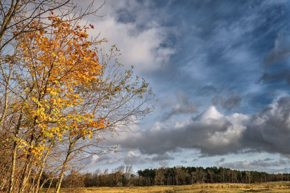 Cer noros si maxime de 15 grade Celsius. Ce temperaturi se vor inregistra astazi, dar si in urmatoarele zile. Prognoza meteo - FOTO Cer noros si maxime de 15 grade Celsius. Ce temperaturi se vor inregistra astazi, dar si in urmatoarele zile. Prognoza meteo - FOTO