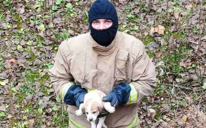 Misiune neobisnuita pentru pompierii din capitala. Acestia au salvat un caine cazut intr-o groapa de pe teritoriul unui santier - FOTO
Misiune neobisnuita pentru pompierii din capitala. Acestia au salvat un caine cazut intr-o groapa de pe teritoriul unui santier - FOTO