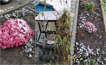 Iarna ne da semne ca e pe drum. In nordul tarii au cazut primii fulgi - FOTO/VIDEO
Iarna ne da semne ca e pe drum. In nordul tarii au cazut primii fulgi - FOTO/VIDEO