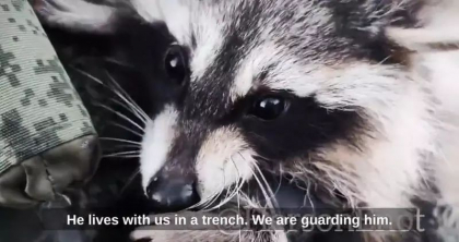 Ce s-ar fi intamplat cu ratonul furat de rusi din Herson. Un fost consilier al lui Putin il compara cu „Guardians of the Galaxy” - VIDEO
