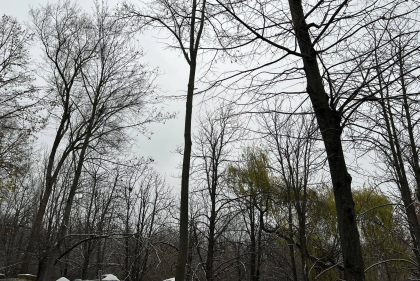 Cer noros, dar cu putin soare. Cum va fi vremea astazi, dar si in urmatoarele zile. Prognoza meteo - FOTO