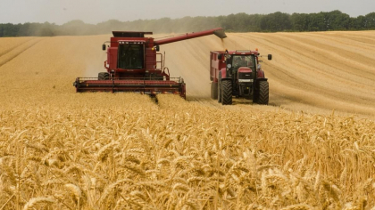 Votat in Parlament. Producatorii agricoli vor beneficia de rambursarea TVA. Ce prevede programul
