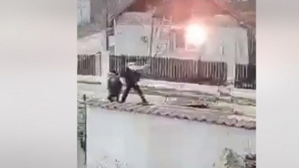 Barbatul din Dambovita care a ucis un caine a fost condamnat la 2 ani de inchisoare