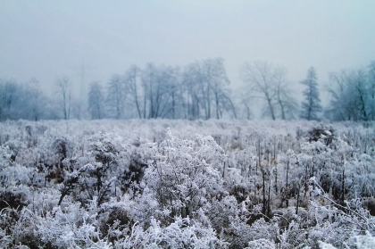 Vremea se raceste. Ce temperaturi se vor inregistra astazi, dar si in urmatoarele zile. Prognoza meteo - FOTO