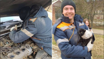 Misiune neobisnuita pentru pompierii din Tiraspol. O pisica a fost salvata, dupa ce s-a blocat sub capota unei masini