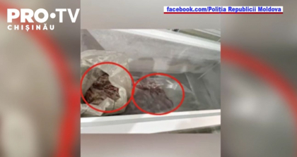 Patru barbati din Ialoveni au fost retinuti, pentru ca ar fi vanat ilegal caprioare Patru barbati din Ialoveni au fost retinuti, pentru ca ar fi vanat ilegal caprioare