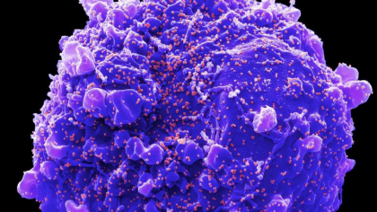 Cat de periculoasa este „Kraken”, mutatia Covid produsa de combinatia a doua variante, care se raspandeste cu viteza in SUA si UK